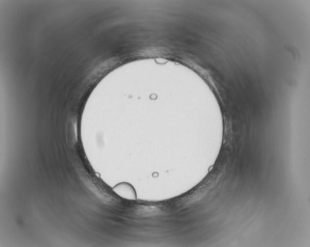 X0000110690061200907241113