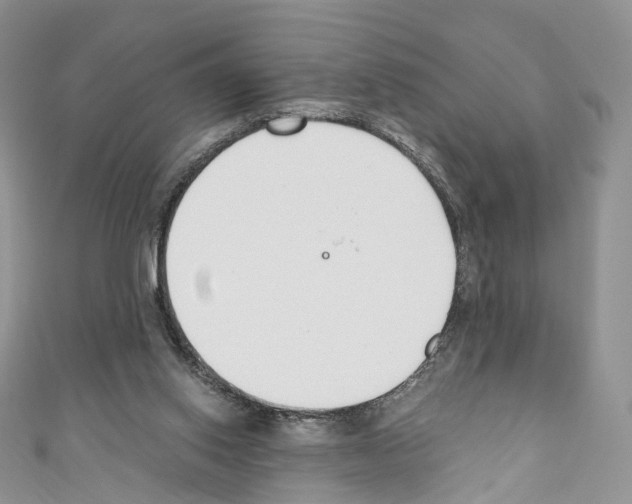 X0000110690062200907241113