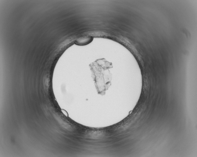 X0000110690063200907241113