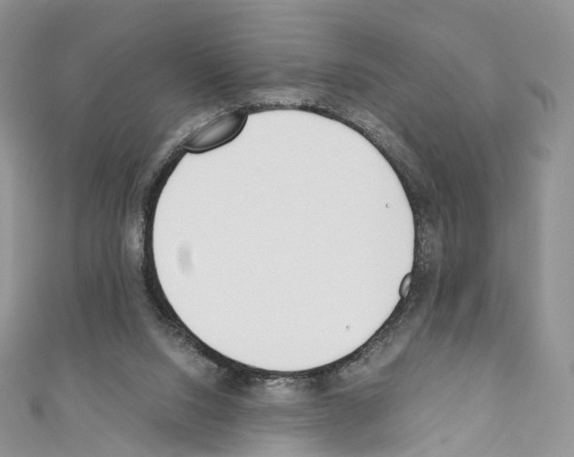 X0000110690064200907241113