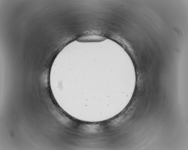 X0000110690065200907241113