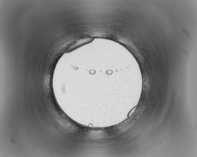 X0000110690066200907241113