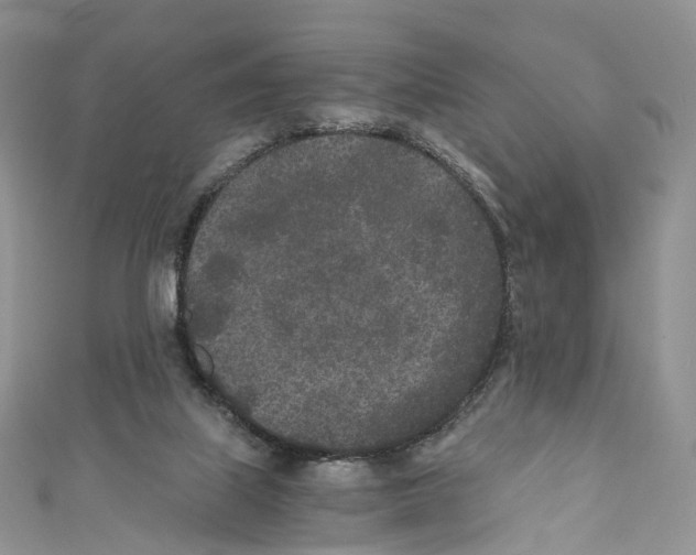 X0000110690067200907241113