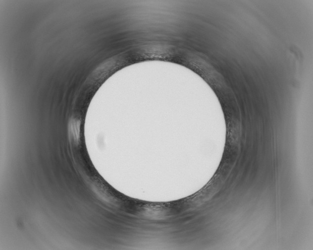 X0000110690070200907241113