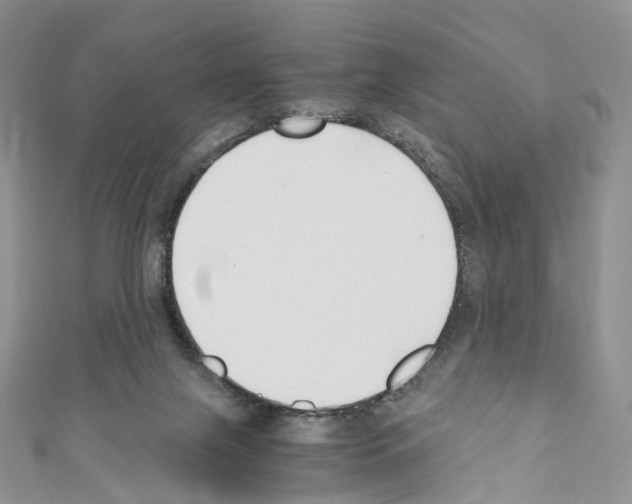 X0000110690071200907241113