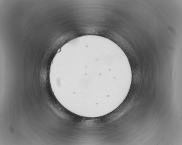 X0000110690072200907241113