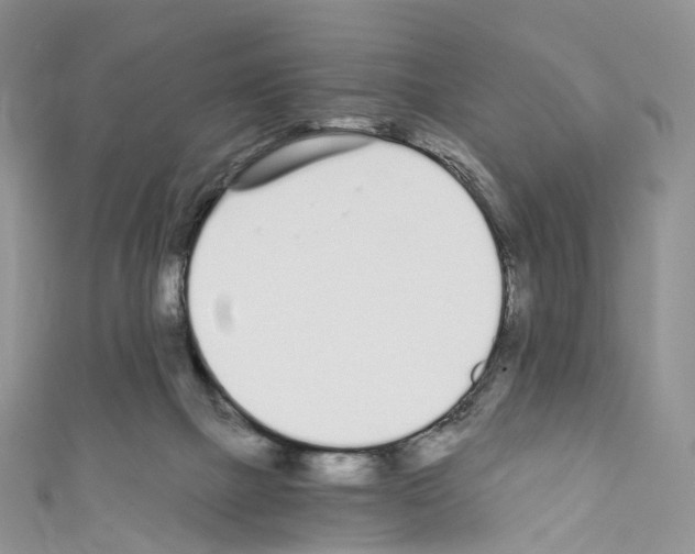 X0000110690073200907241113