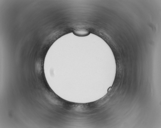 X0000110690074200907241113