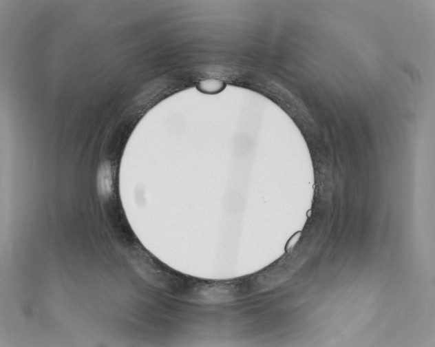 X0000110690075200907241113