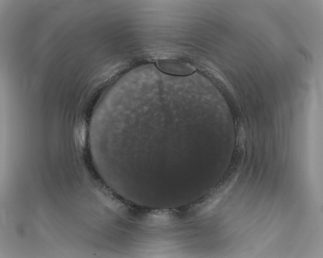 X0000110690076200907241113