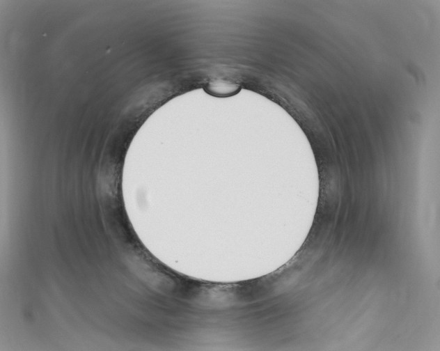 X0000110690078200907241113