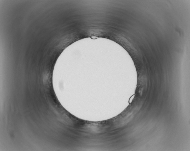 X0000110690079200907241113