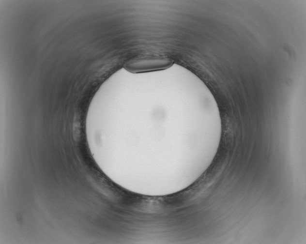 X0000110690080200907241113