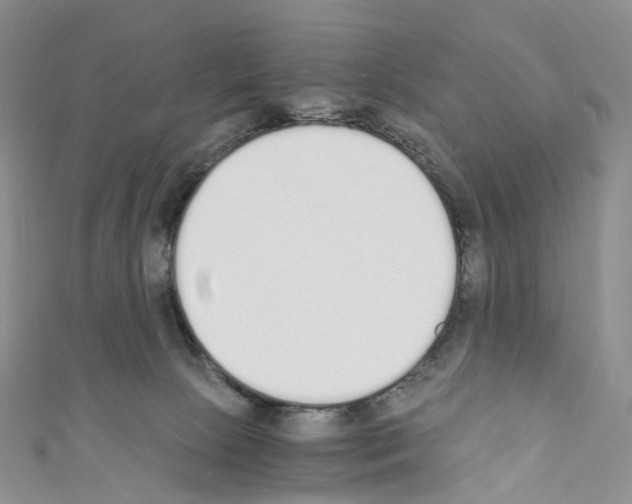 X0000110690081200907241113