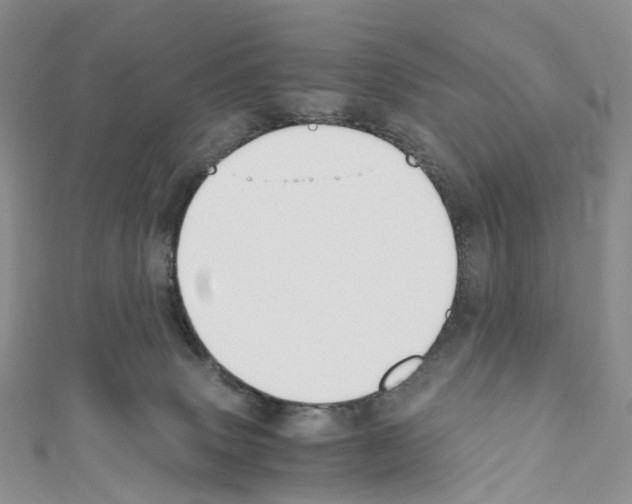 X0000110690083200907241113