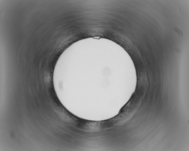 X0000110690084200907241113