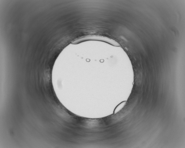 X0000110690085200907241113