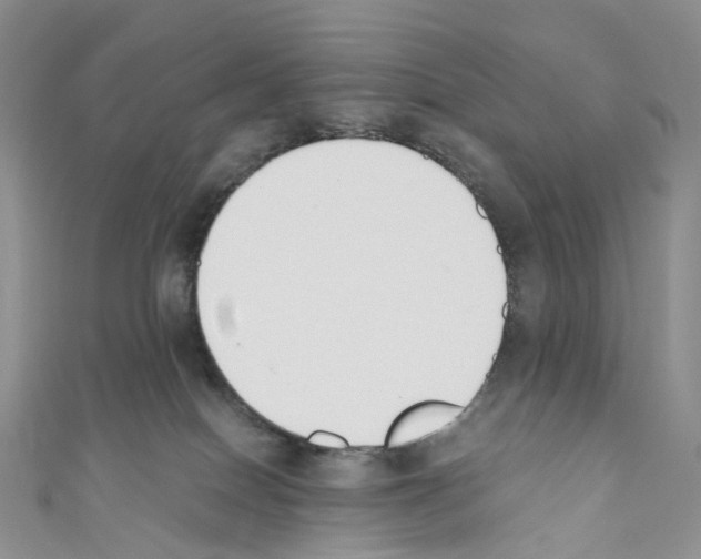 X0000110690086200907241113