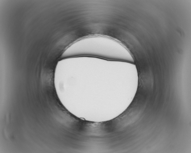 X0000110690092200907241113