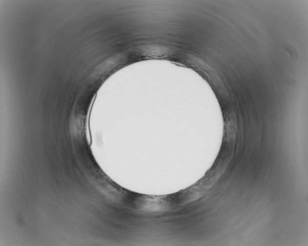 X0000110690093200907241113