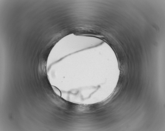 X0000110690094200907241113