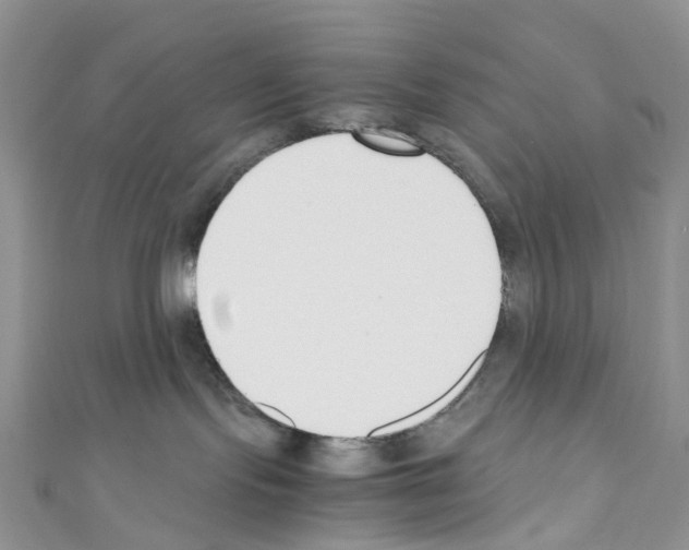 X0000110690095200907241113