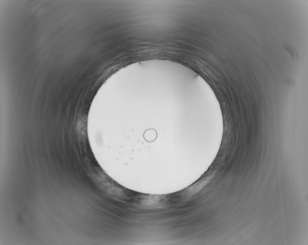 X0000110690096200907241113