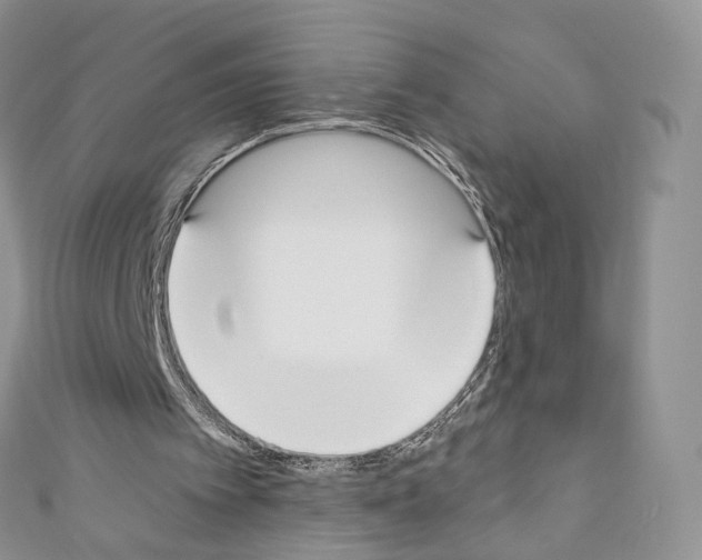 X0000110690097200907241112