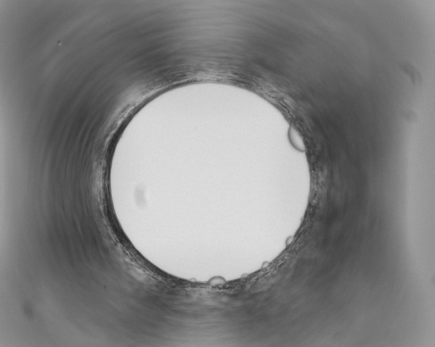 X0000110690098200907241112