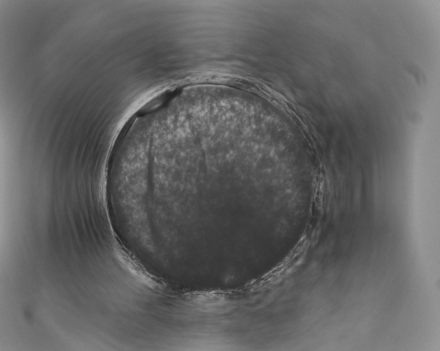 X0000110690100200907241112