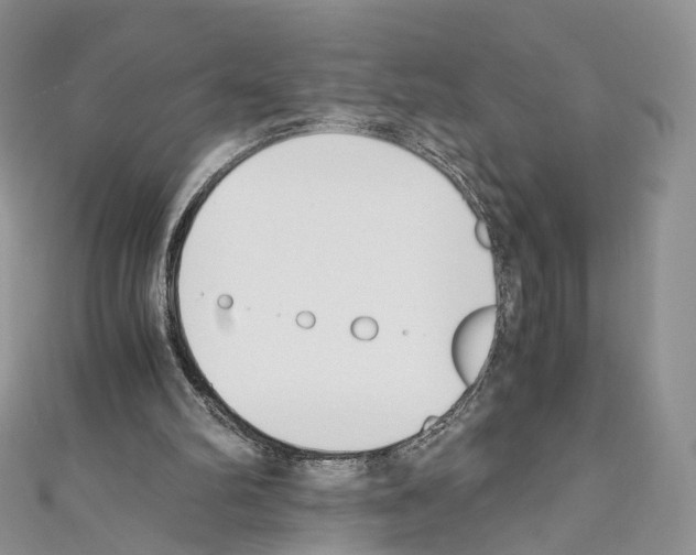 X0000110690102200907241112