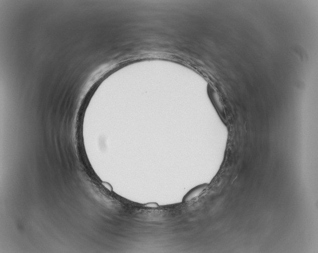 X0000110690104200907241112