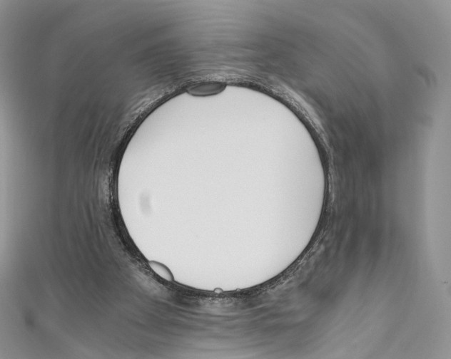 X0000110690105200907241112