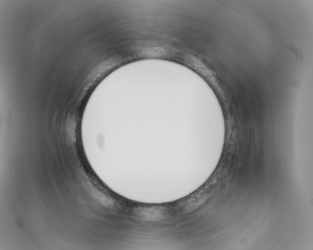 X0000110690106200907241112