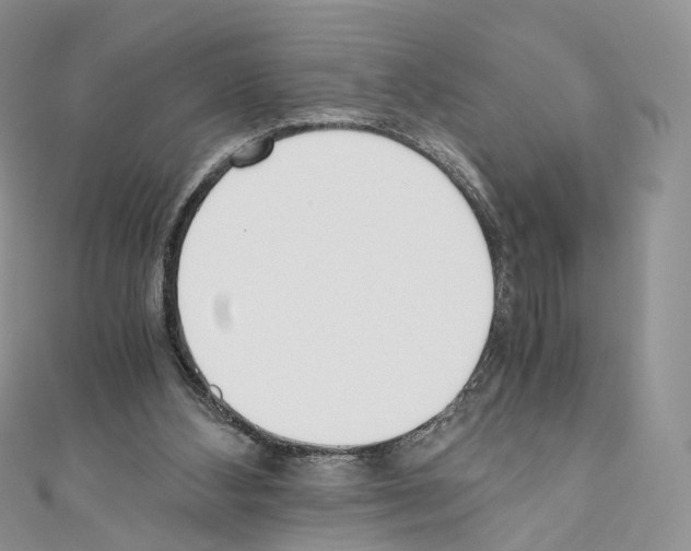 X0000110690108200907241112