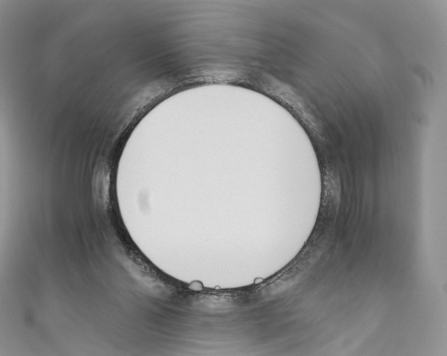 X0000110690110200907241112