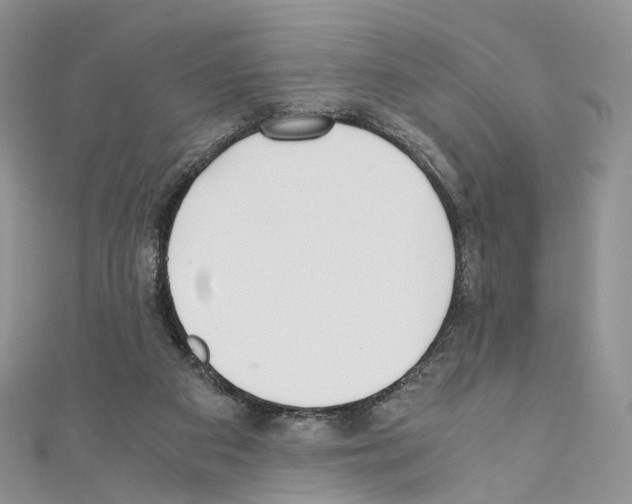 X0000110690113200907241112