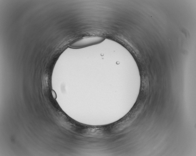 X0000110690117200907241112