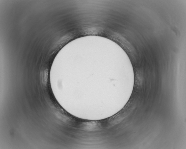 X0000110690118200907241112