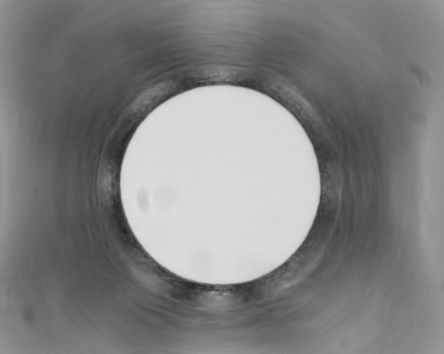 X0000110690119200907241112