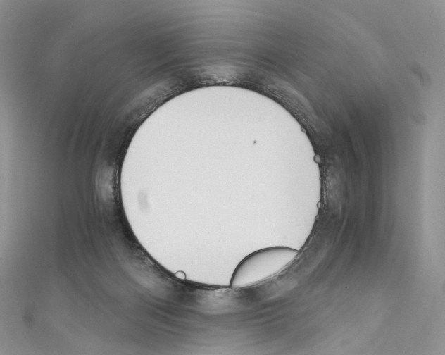 X0000110690122200907241112