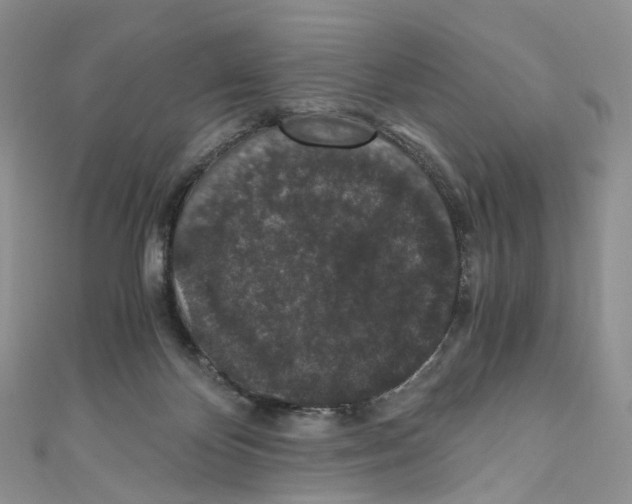 X0000110690124200907241112