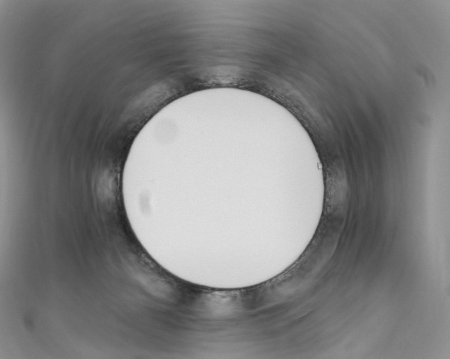 X0000110690126200907241112