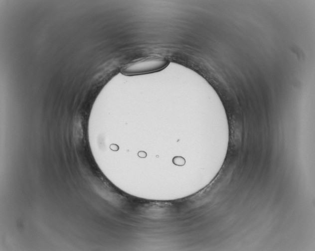 X0000110690128200907241112