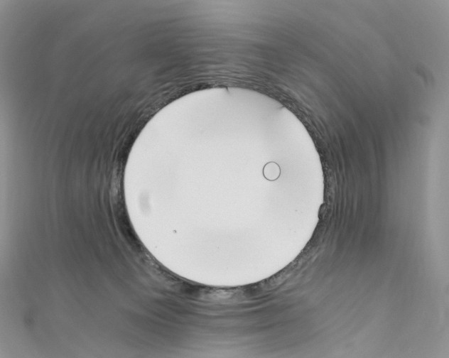 X0000110690129200907241112