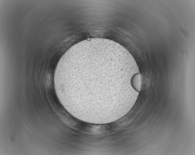 X0000110690130200907241112