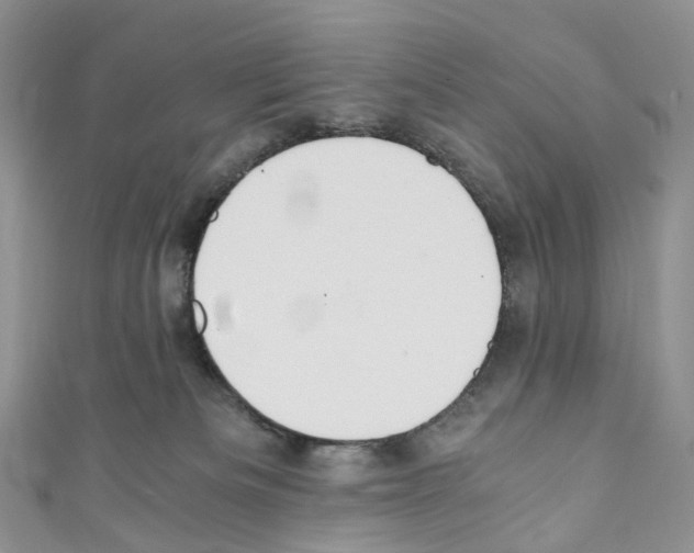 X0000110690133200907241112