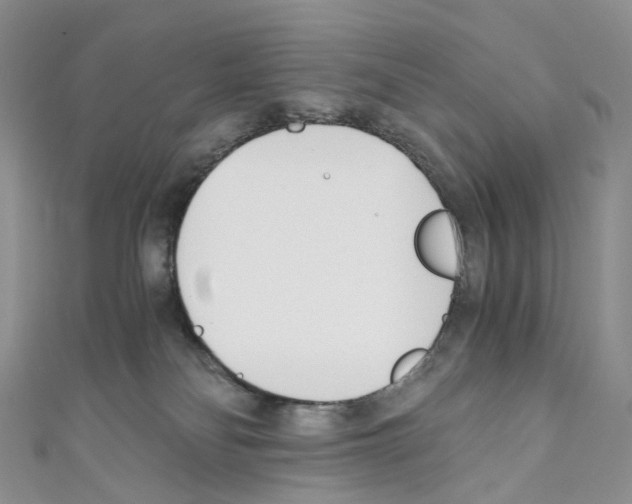 X0000110690134200907241112