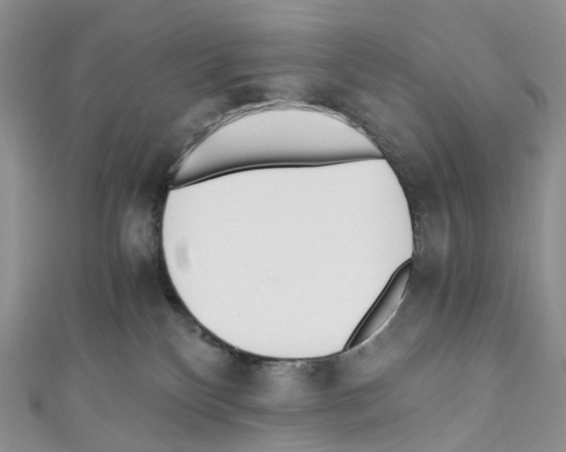 X0000110690136200907241112