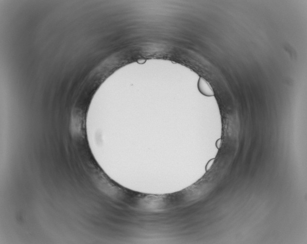 X0000110690138200907241112